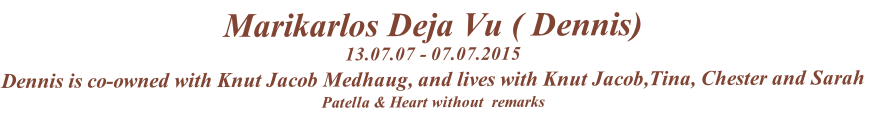 Marikarlos Deja Vu ( Dennis)
13.07.07 - 07.07.2015
Dennis is co-owned with Knut Jacob Medhaug, and lives with Knut Jacob,Tina, Chester and Sarah
Patella & Heart without  remarks
